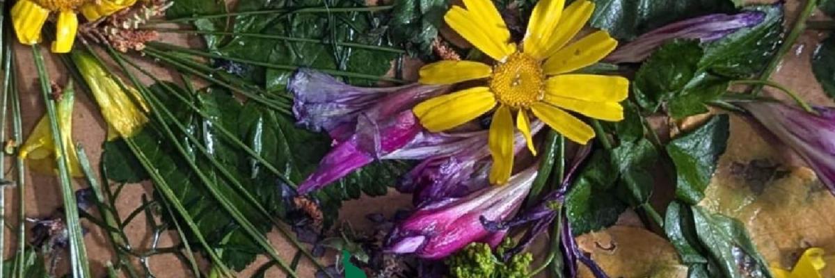 Experience Villa Frere  event in Gardens of Villa Frere, Heliport, Pietà, Malta, Malta